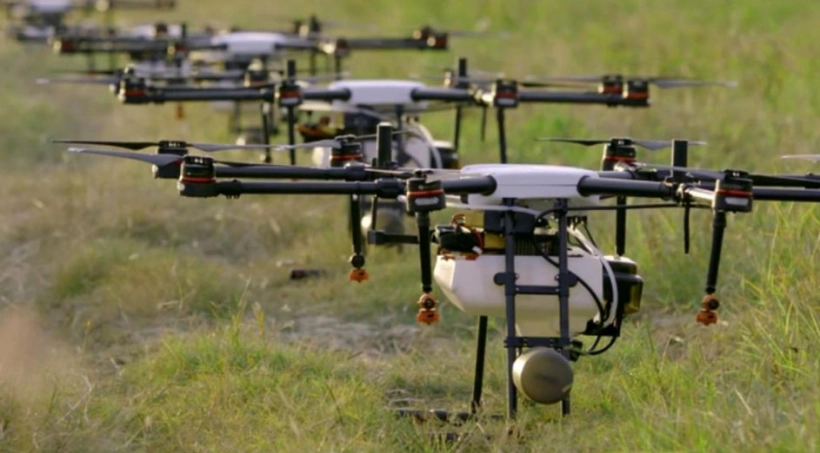 Австралийский стартап хочет бороться с вырубкой лесов с помощью армии дронов